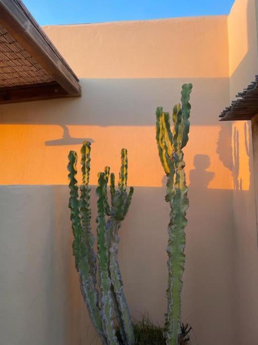 Splendido Attico Vista Mare Villa La Savina  Ngoại thất bức ảnh