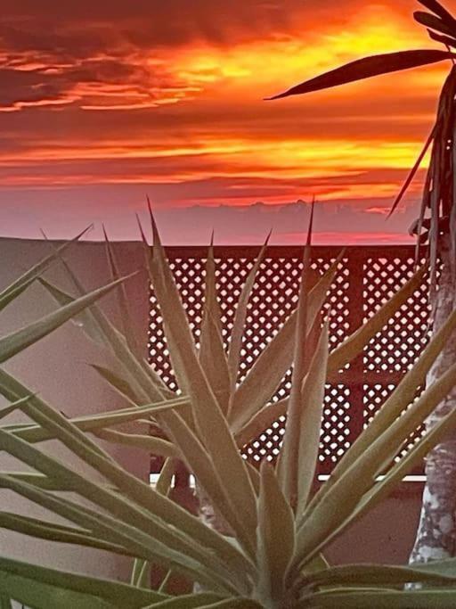 Splendido Attico Vista Mare Villa La Savina  Ngoại thất bức ảnh